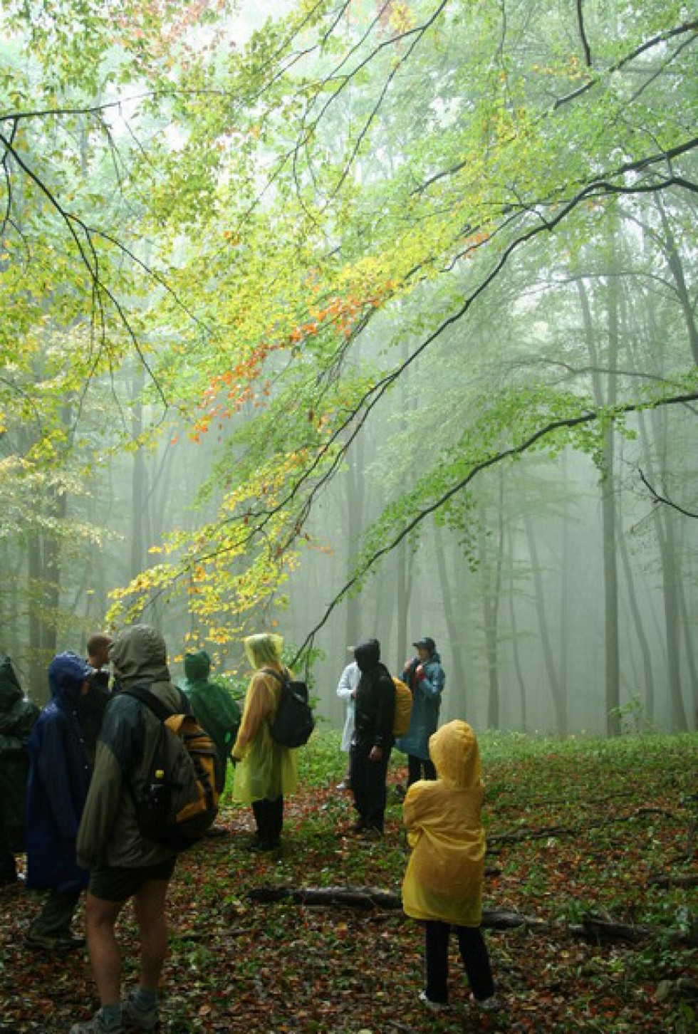 2009-10-11-Szádvári-esős-túra-1
