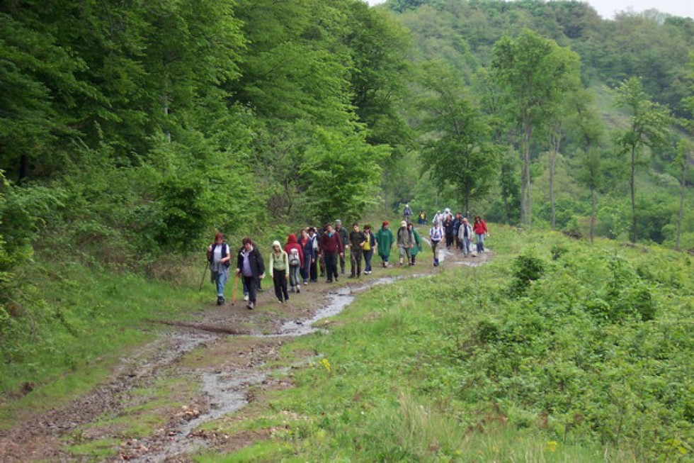 2010-05-15-Kirándulás-esőben-a-Mátrában-4