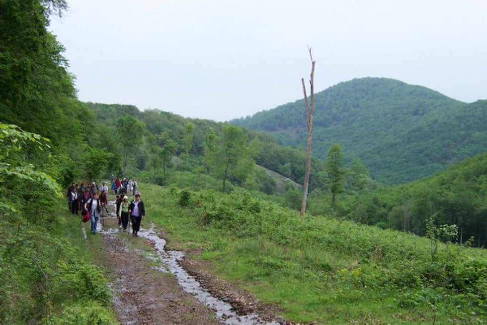 2010-05-15-Kirándulás-esőben-a-Mátrában-5
