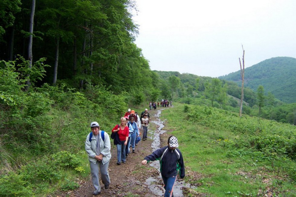 2010-05-15-Kirándulás-esőben-a-Mátrában-6