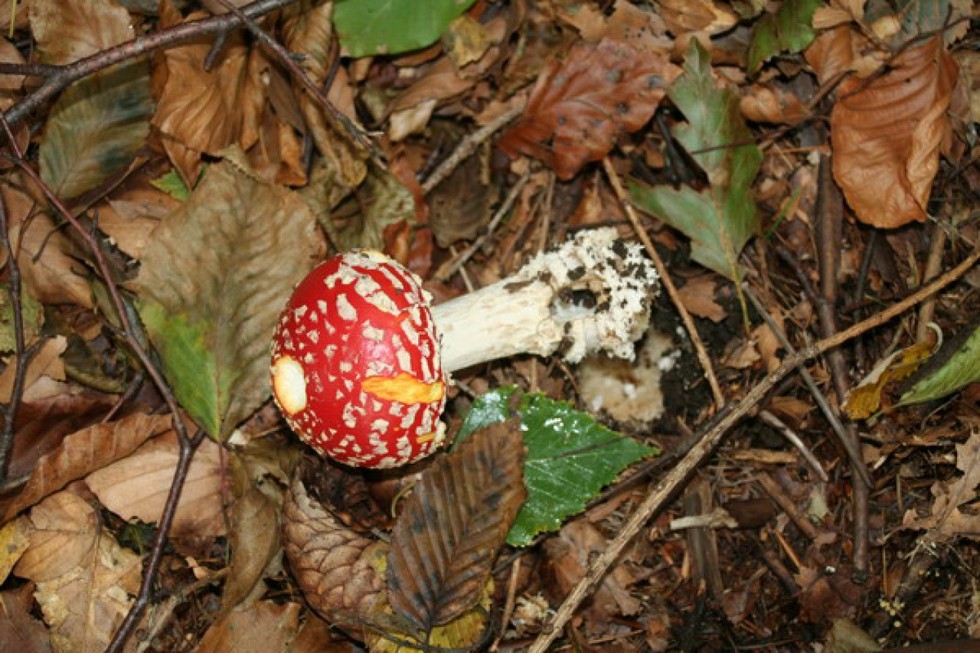 2010-10-02-Tátra-látó-túra-Debrecen-1-10