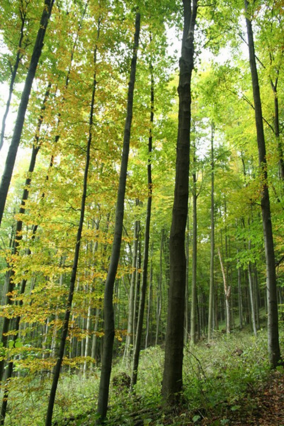 2010-10-02-Tátra-látó-túra-Debrecen-1-13