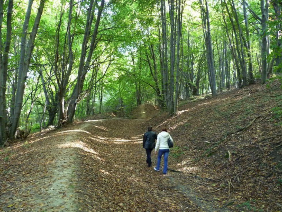 2010-10-09-Kirándulás-Pécsre-Kunszentmártonból-4