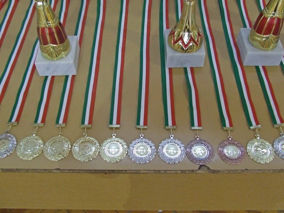 2010-11-20-asztalitenisz-sakk-csocso-Debrecen-42