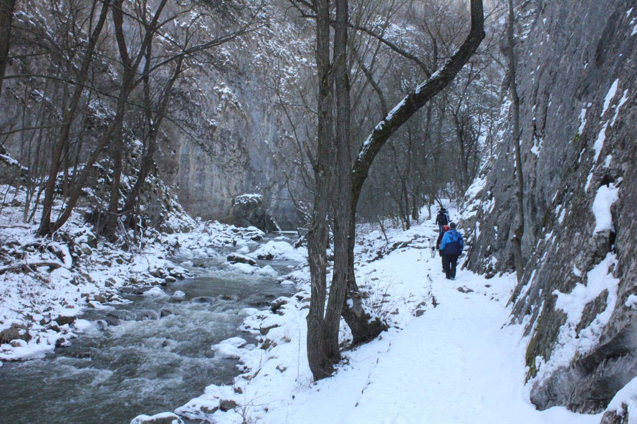 2016-01-23-Mélységek-és-magasságok-005