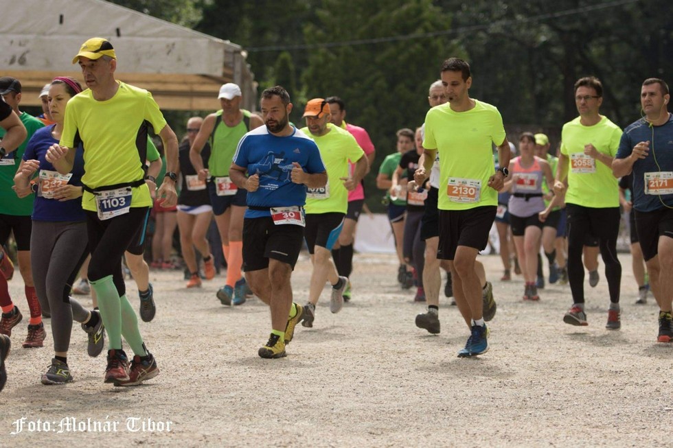 2018-06-16-26-ik-Bükki-Hegyi-Maraton-2
