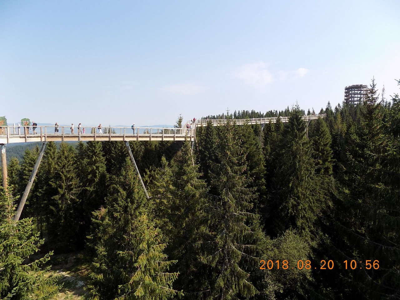 2018-08-19-20-Zakopane-túrák-Gubalowka-Gáspár-csúcs-004