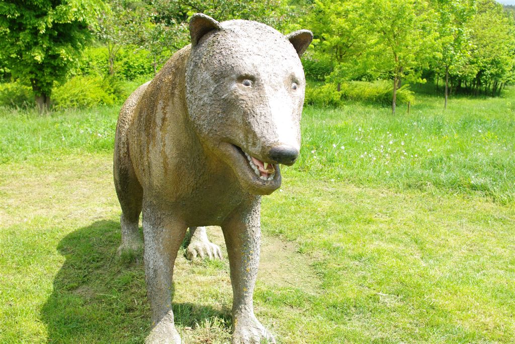 Ipolytarnóci Ősmaradványok 06 2019.05.18.