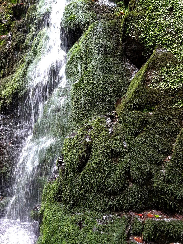 Parád-Ilona-vízesés-0002