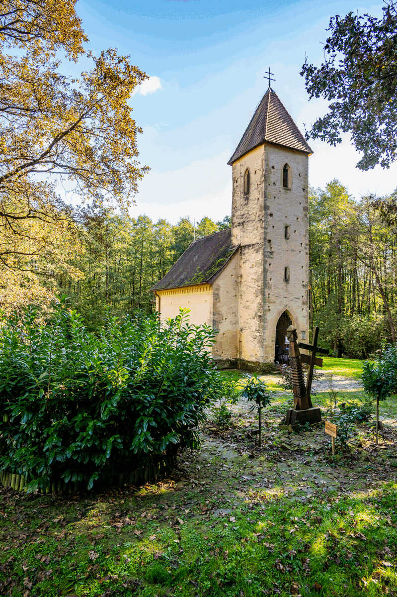 2023-10-22-barangolás-az-Őrségben-_dsc0324_optimized