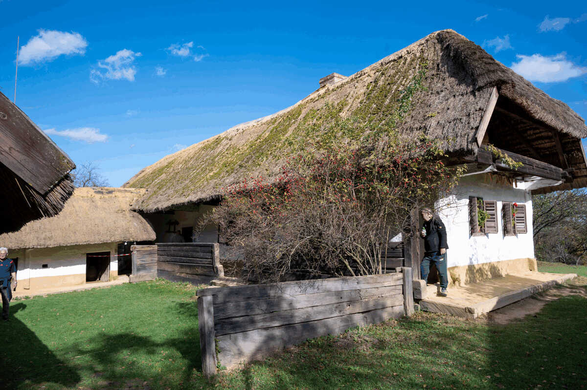 2023-10-22-barangolás-az-Őrségben-_dsc0359_optimized